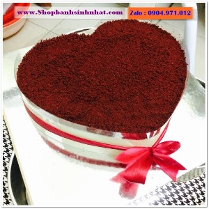 Bánh Sinh Nhật Tiramisu - T41
